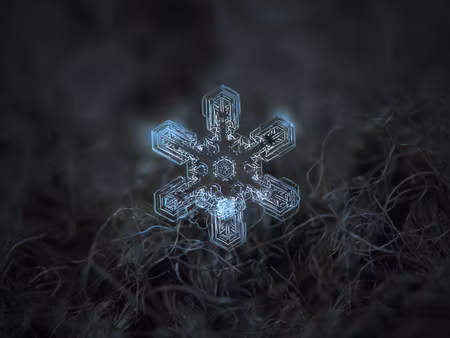 Canvastavla - Multipart Snow Flake in D Macro