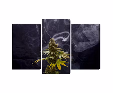 Canvastavla - Multipart Cannabis Plant on a Smoky