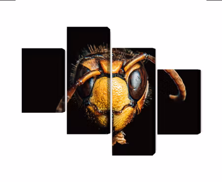 Canvastavla - Multipart Hornet on a Macro Scale