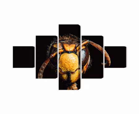 Canvastavla - Multipart Hornet on a Macro Scale