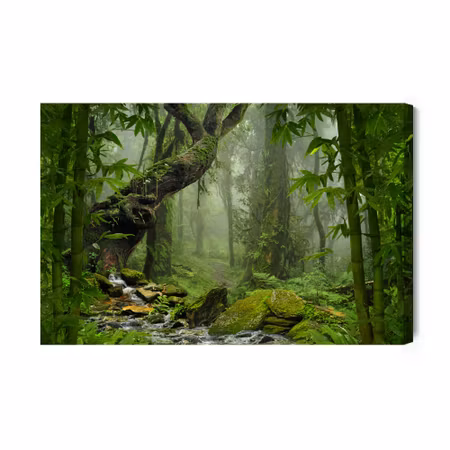 Canvastavla - Tropical Jungle