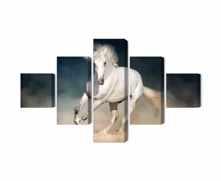 Canvastavla - Multipart a White Horse At a Gallop