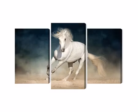 Canvastavla - Multipart a White Horse At a Gallop