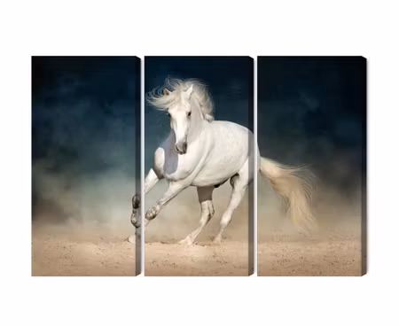 Canvastavla - Multipart a White Horse At a Gallop