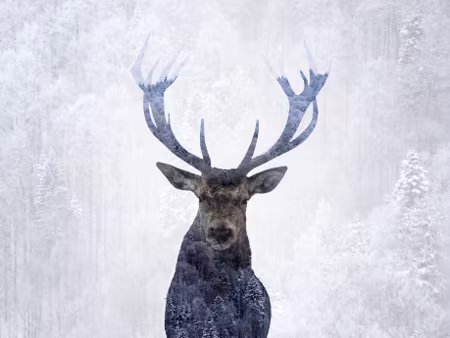 Canvastavla - Multipart Deer in the Winter D