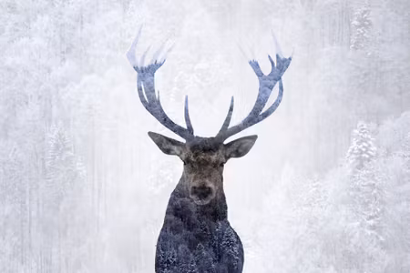 Canvastavla - Multipart Deer in the Winter D
