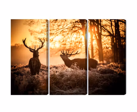 Canvastavla - Multipart Two Deer in the Forest At