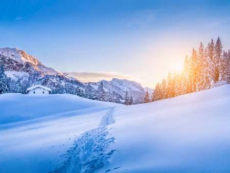 Canvastavla - Multipart the Alps At Winter Time D