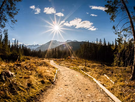 Canvastavla - Multipart a Sunny Day in the Tatras