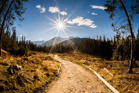 Canvastavla - Multipart a Sunny Day in the Tatras