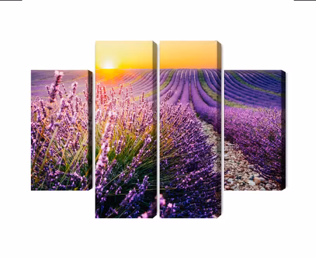 Canvastavla - Multipart Lavender Field At Sunset D