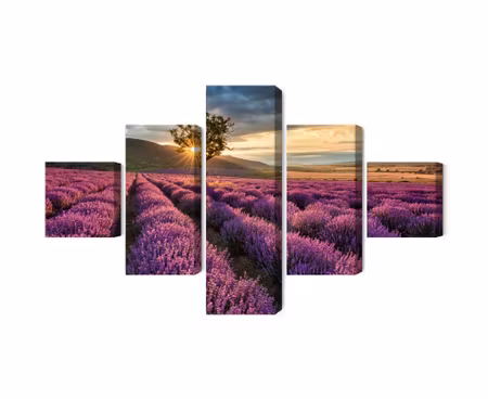 Canvastavla - Multipart Lavender Field At Sunset D