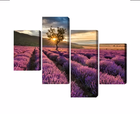 Canvastavla - Multipart Lavender Field At Sunset D