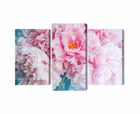 Canvastavla - Multipart D Peony Bouquet