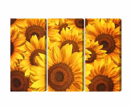 Canvastavla - Multipart D Sunflower Flowers