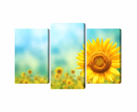 Canvastavla - Multipart Decorative D Sunflower