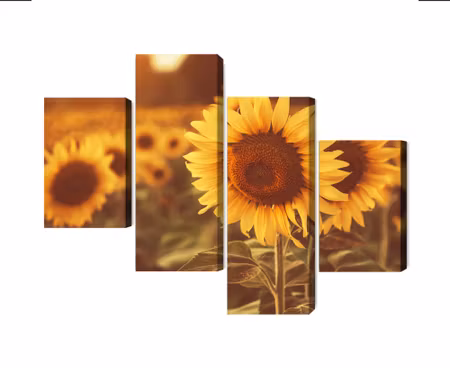 Canvastavla - Multipart a Field of Sunflowers in