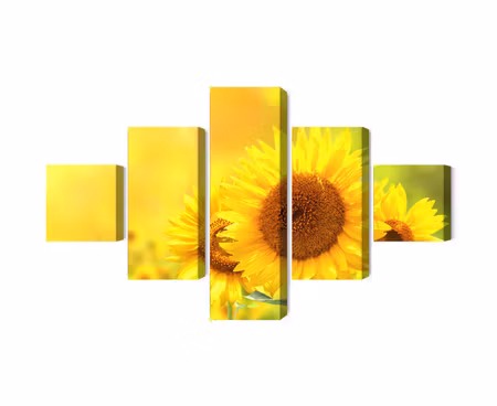 Canvastavla - Multipart Blooming Sunflowers D