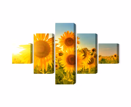 Canvastavla - Multipart Sunflower Field At Sunset
