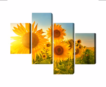 Canvastavla - Multipart Sunflower Field At Sunset