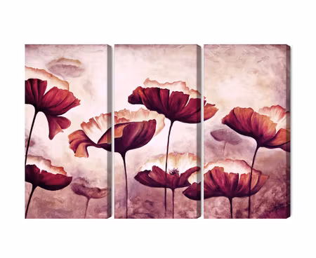 Canvastavla - Multipart Poppies As Painted