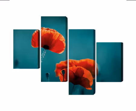 Canvastavla - Multipart Macro Poppies