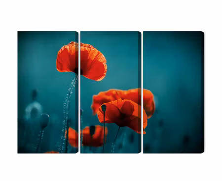 Canvastavla - Multipart Macro Poppies