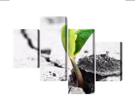 Canvastavla - Multipart D Plant Sprouting