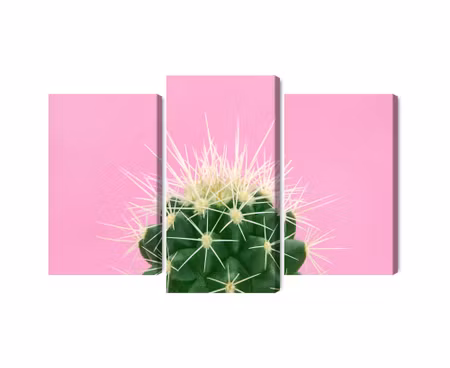 Canvastavla - Multipart Cactus on a Pink