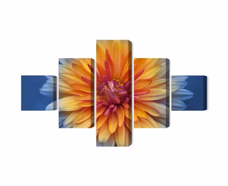 Canvastavla - Multipart Chrysanthemum Flower