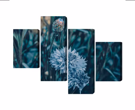 Canvastavla - Multipart Cornflowers in the Meadow