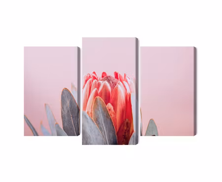 Canvastavla - Multipart Flower of the Royal
