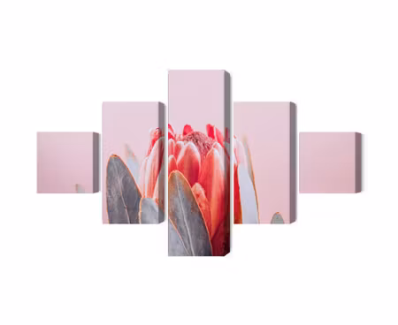 Canvastavla - Multipart Flower of the Royal Prot