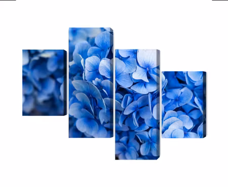 Canvastavla - Multipart Blue Hydrangea Flowers