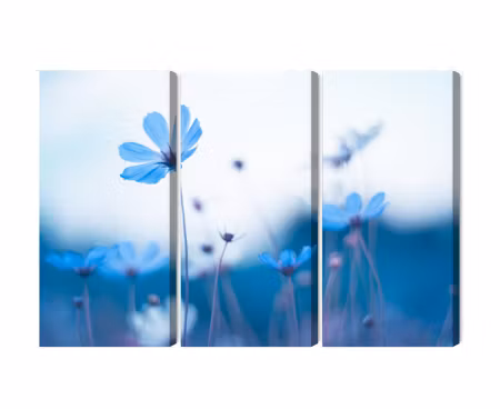 Canvastavla - Multipart Delicate Blue Flowers