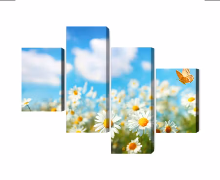 Canvastavla - Multipart D Daisy Field