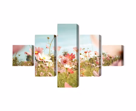 Canvastavla - Multipart Cosmos Flowers in the