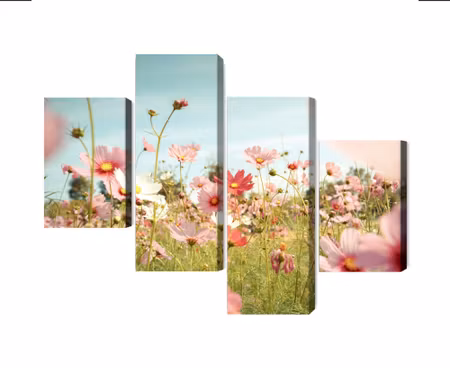 Canvastavla - Multipart Cosmos Flowers in the