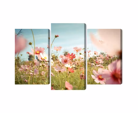 Canvastavla - Multipart Cosmos Flowers in the