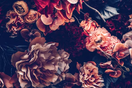 Canvastavla - Multipart Colorful Flowers in a