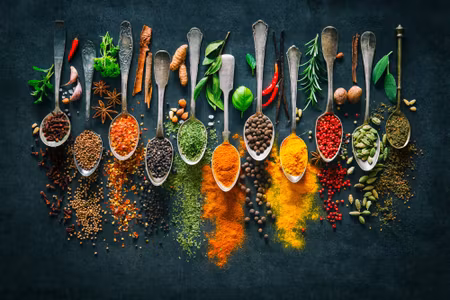 Canvastavla - Multipart Herbs and Spices on Spoons
