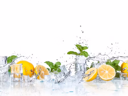 Canvastavla - Multipart Mint Leaves with Lemons