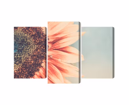 Canvastavla - Multipart Blooming Sunflower on a