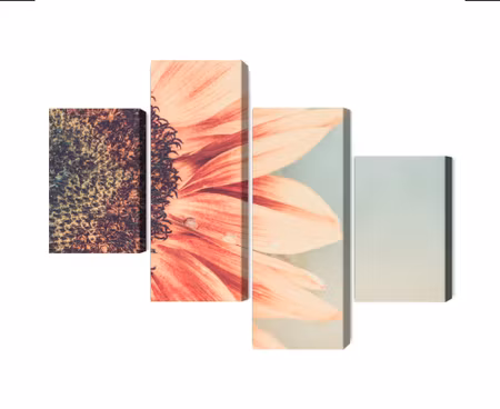 Canvastavla - Multipart Blooming Sunflower on a