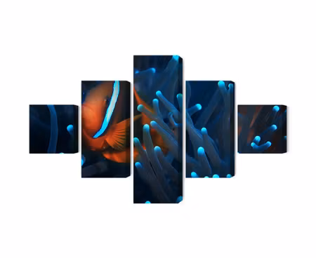 Canvastavla - Multipart Clownfish in a D Anemone
