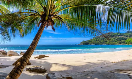 Canvastavla - Multipart Tropical Beach with D Palm