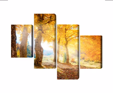 Canvastavla - Multipart Sunny Autumn Forest