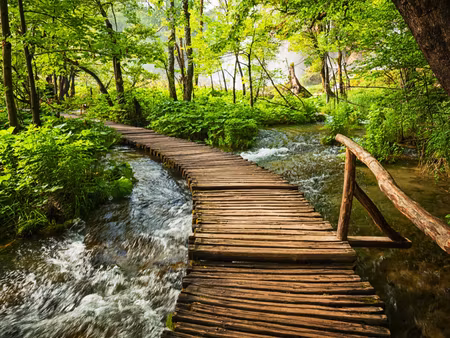 Canvastavla - Multipart Wooden Pier in the Forest