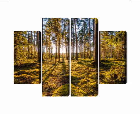 Canvastavla - Multipart D Sunny Forest Landscape