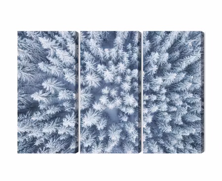 Canvastavla - Multipart Aerial View of the Winter